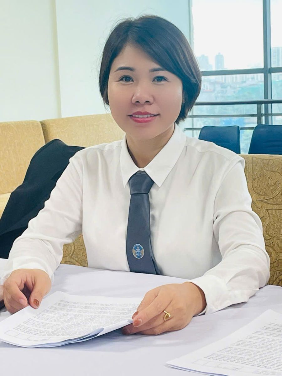 Luật sư Nguyễn Đào Tơ là người có quá trình hoạt động trong lĩnh vực pháp lý nhiều năm