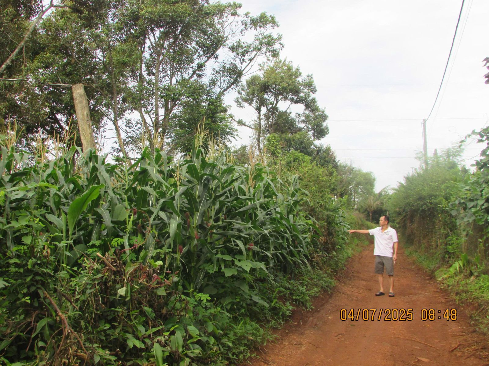 Ông Lâm Văn Vũ và thửa đất đang tranh chấp.