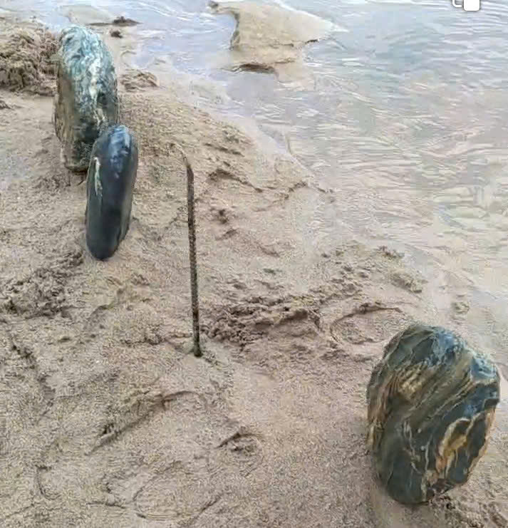 Ngoài thơ ca Thanh Bi còn là một người đam mê sưu tầm Đá Cảnh Tự Nhiên nguyên